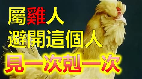 1993屬雞2024運勢|2024年屬雞人全年整體運勢詳解